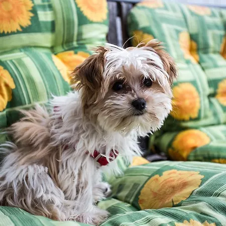 Apartment Beaches & Park Marjan * Split